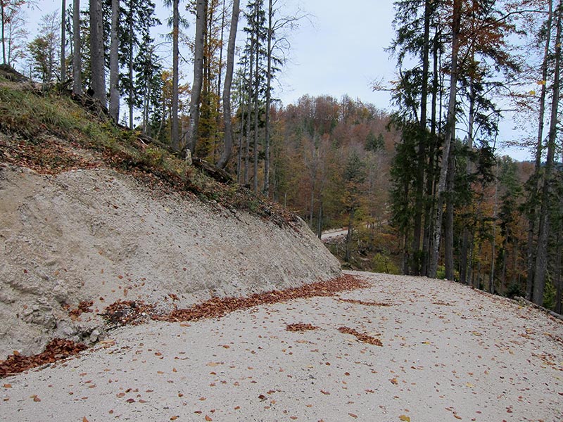 geissangerkogel